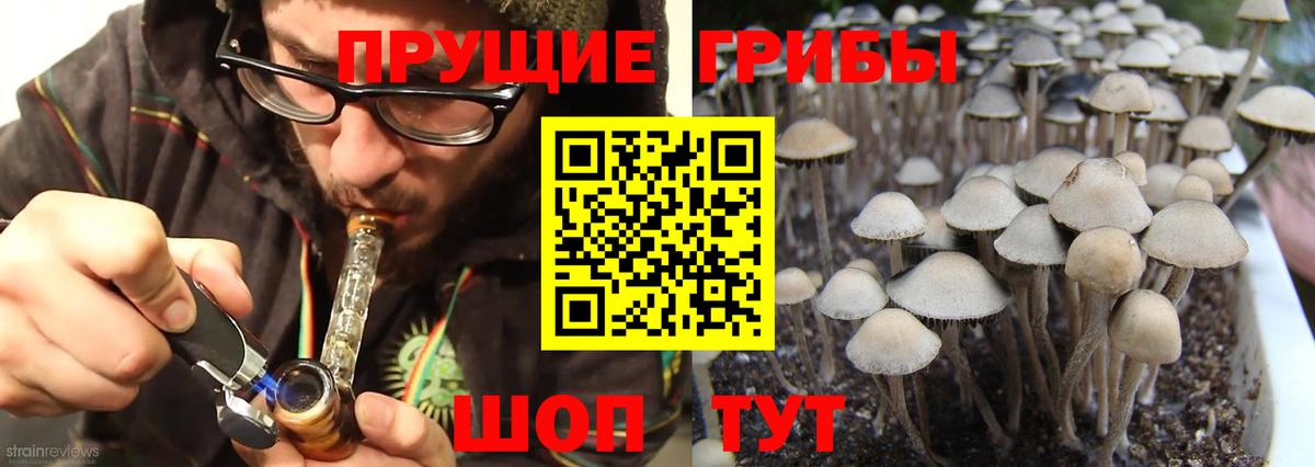 Псилоцибиновые грибы Psilocybe Тельмана